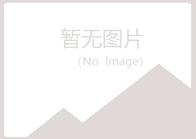 黑山县夏槐服务有限公司